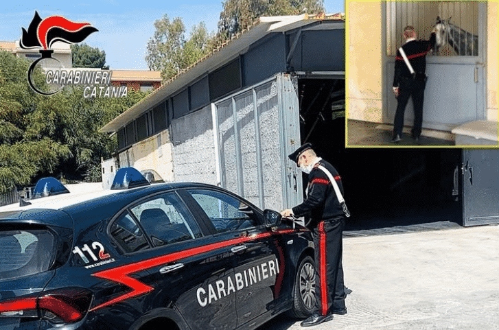 Catania, controlli serrati dei carabinieri a Librino e San Giorgio: arrestate tre persone