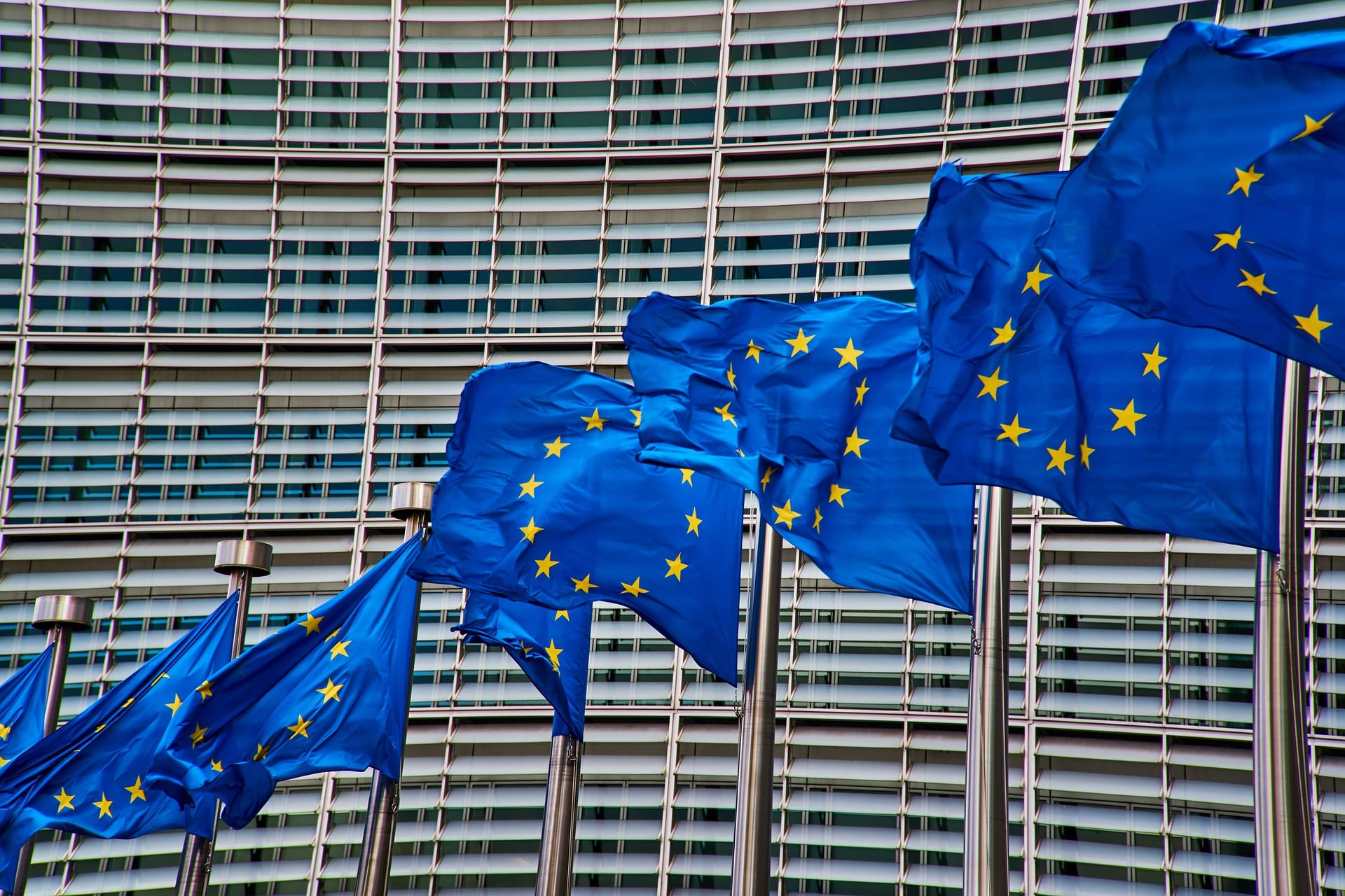 La storia della bandiera dell’UE, dal disegno di Arsène Heitz al sogno dell’Europa unita