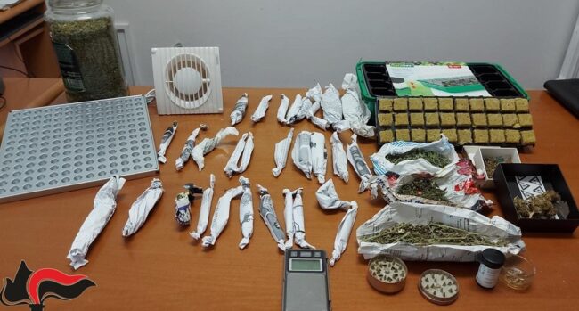 Giovane pusher nascondeva droga in casa, i carabinieri indagano: trovati 4mila euro di marijuana pronti allo spaccio