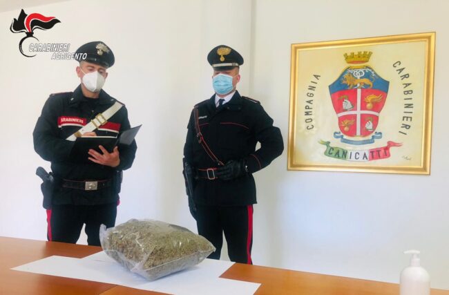 Blitz antidroga nel centro storico, sequestrata marijuana in casa disabitata
