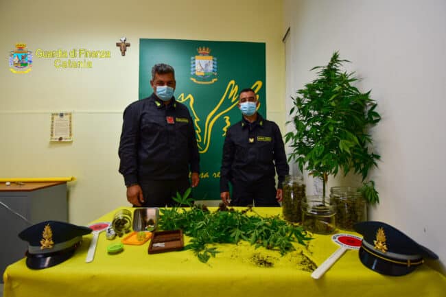 Catania, da Riposto a Sant’Alfio nascondeva marijuana e piantine: arrestato il pusher e sequestrata la droga