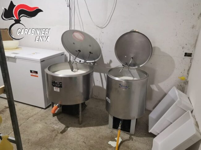 Controlli dei carabinieri, scoperto caseificio abusivo: sequestrati 50 chili di prodotti caseari