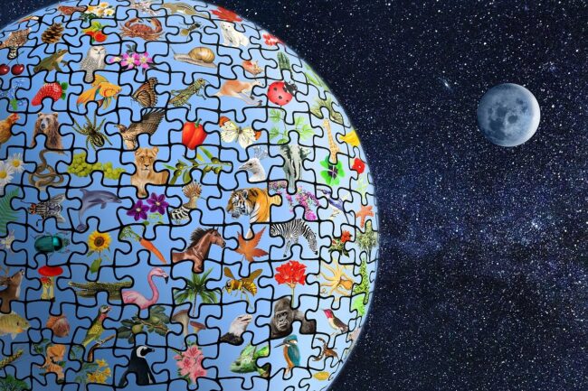 Giornata della Biodiversità, una Sicilia da salvare e tutelare: un percorso “collettivo”