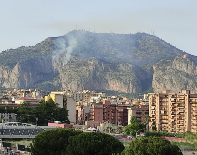 Fiamme a Palermo, brucia monte Pellegrino: vigili del fuoco e forestale sul posto