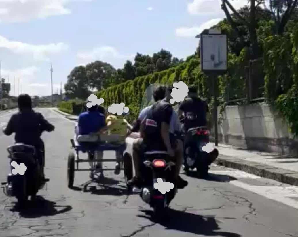 Catania, corse clandestine vicino al cimitero di Zia Lisa: indagate 11 persone