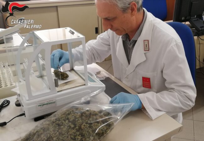 Cocaina, marijuana e hashish in ogni dove: in manette 2 pusher percettori del Reddito di Cittadinanza