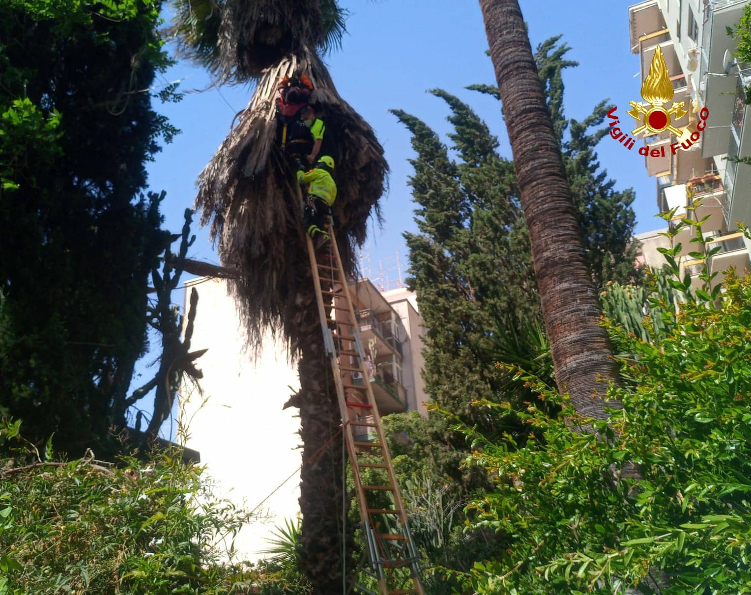 Catania, paura in via Etnea: operaio a testa in giù a 12 metri di altezza, vigili del fuoco sul posto – FOTO
