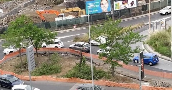 Catania, alberi rimossi per i lavori del tracciato BRT 1 al Fasano: quelli distrutti saranno tutti rimpiazzati