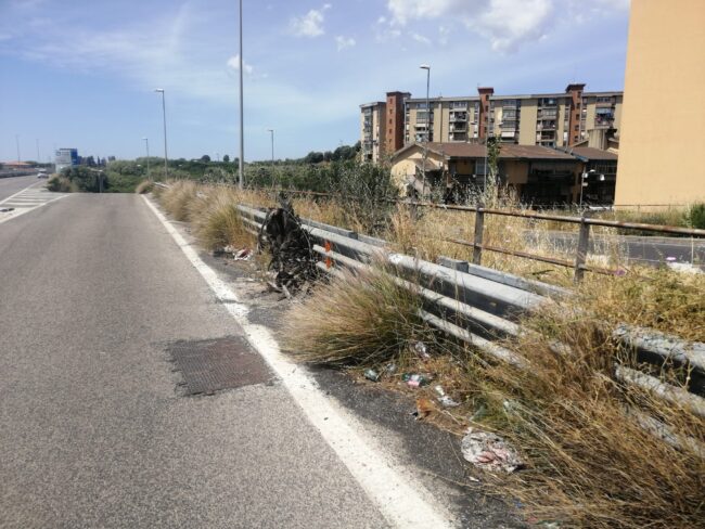 Catania, giungla di sterpaglie sull’asse attrezzato. Il comitato Romolo Murri: “Il Comune risolva il problema”