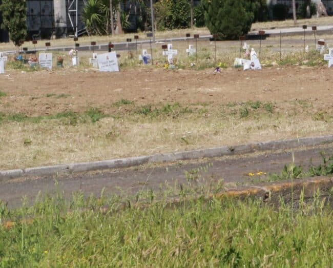 Catania, guasto all’escavatore al cimitero monumentale. Cardello: “Ritardi per le sepolture, va riparato”