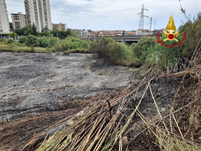 Incendio a Librino, a fuoco circa 3 ettari di canneto e sterpaglie: le FOTO dei vigili del fuoco in azione