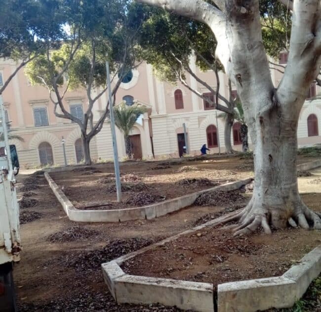 Palermo, la cura e riqualificazione del verde pubblico tra gli interventi del Comune