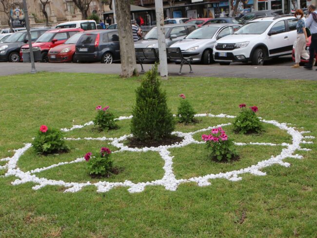 Catania, posa nuove piante e cura del verde: restyling in piazza Cavour, soddisfatto il Presidente Ferrara