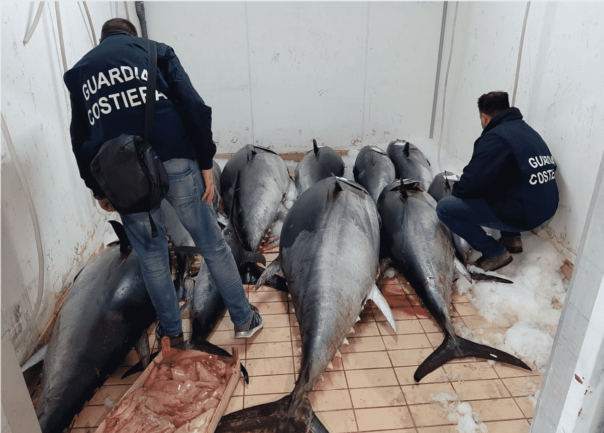 Guardia Costiera di Catania sequestra 1.400 Kg di tonno rosso e pesce spada, donati in beneficienza