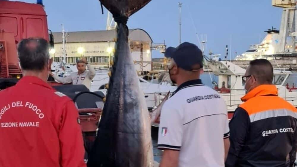 Pescato tonno rosso di 200 chili illegalmente: attrezzo sequestrato, esemplare dichiarato non idoneo al consumo