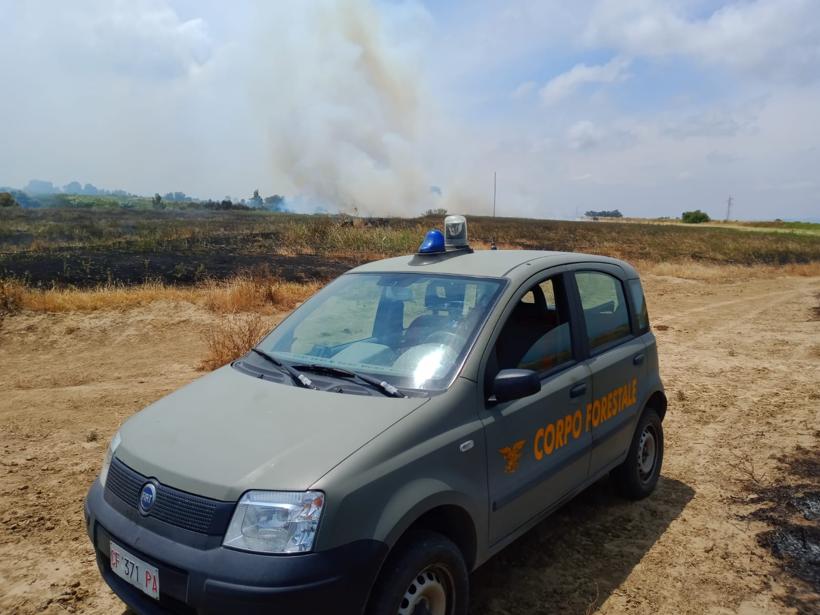Oasi del Simeto, appiccato incendio in più punti: bruciano diversi ettari – FOTO e VIDEO