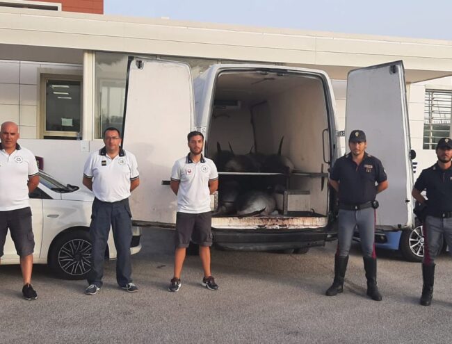 Trasportava tonno rosso a temperature elevate: un denunciato nel Palermitano