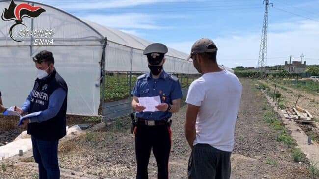 Sfruttamento del lavoro, denunciato titolare di un’azienda