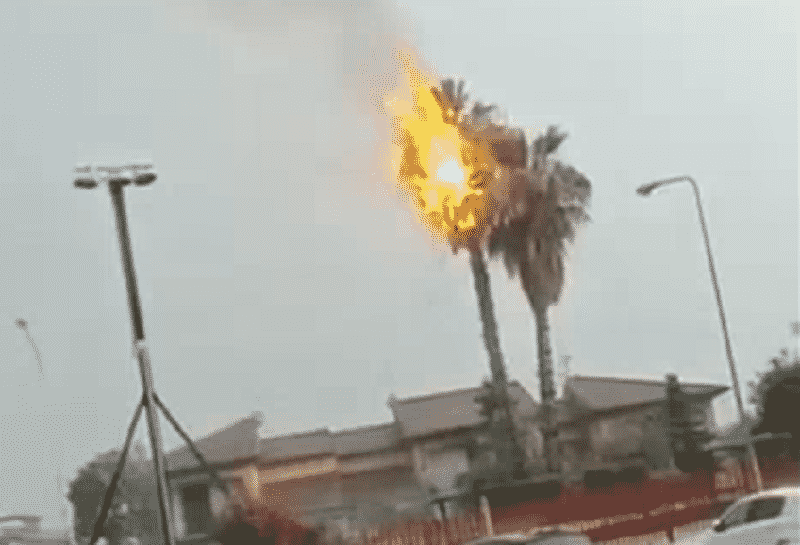 Paura nel Catanese, incendio davanti supermercato MD. Palma a fuoco sopra le abitazioni: il VIDEO
