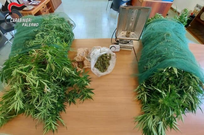 Coltivazione di cannabis e allaccio abusivo alla rete elettrica, nei guai 30enne siciliano