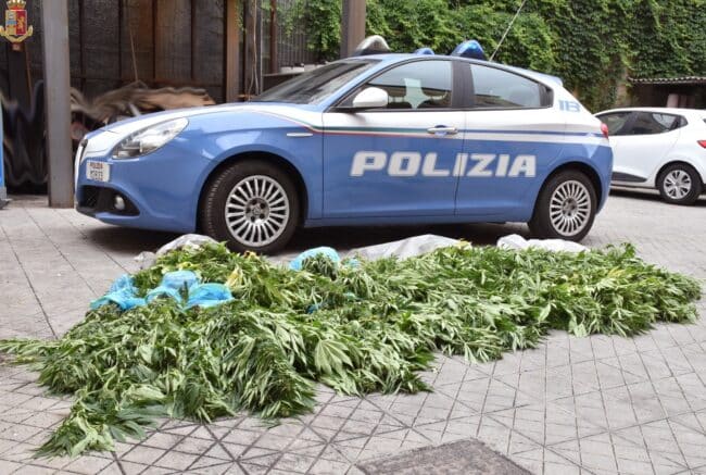 Piante di cannabis in terreno abbandonato di Santa Venerina: arrestato 47enne, si cerca un complice