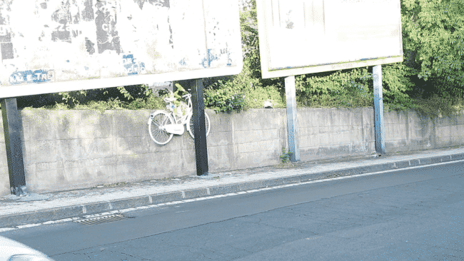 Catania, tra rimozioni e affissioni cartelloni abusivi in via Passo Gravina: il bue dice all’asino che ha le corna