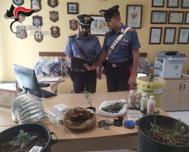 “Rubavano” la luce pubblica per alimentare serra indoor: moglie denunciata, padre e figlio arrestati