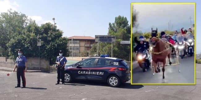 Catania vs Siracusa, corse clandestine di cavalli: animali ridotti allo stremo delle forze, 6 denunce