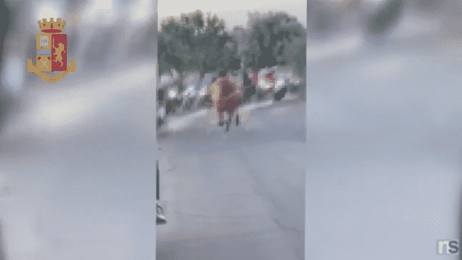 Corsa clandestina a Camporotondo Etneo, immagini su TikTok: denunce, sanzioni e racconti – Il VIDEO