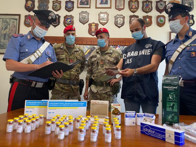 Corse clandestine tra Siracusa e Catania, 60 indagati: perquisizioni, equini maltrattati e farmaci dopanti