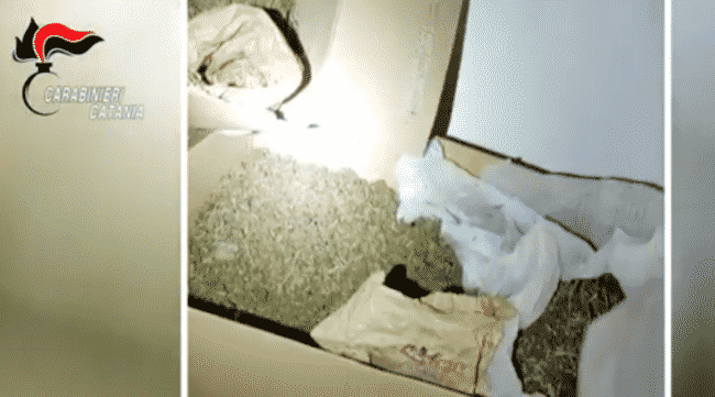 Oltre 150 Kg di droga, casa trasformata in laboratorio: arrestato “chimico” del Catanese – VIDEO