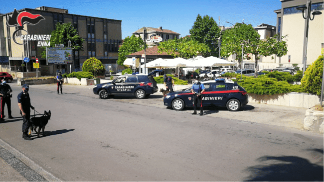 Violenza privata e guida in stato di ebrezza, costanti controlli dei carabinieri: i dettagli