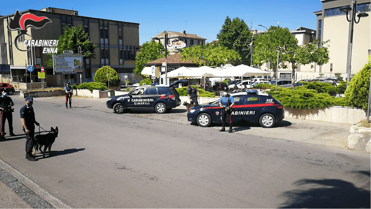 Violenza privata e guida in stato di ebrezza, costanti controlli dei carabinieri: i dettagli