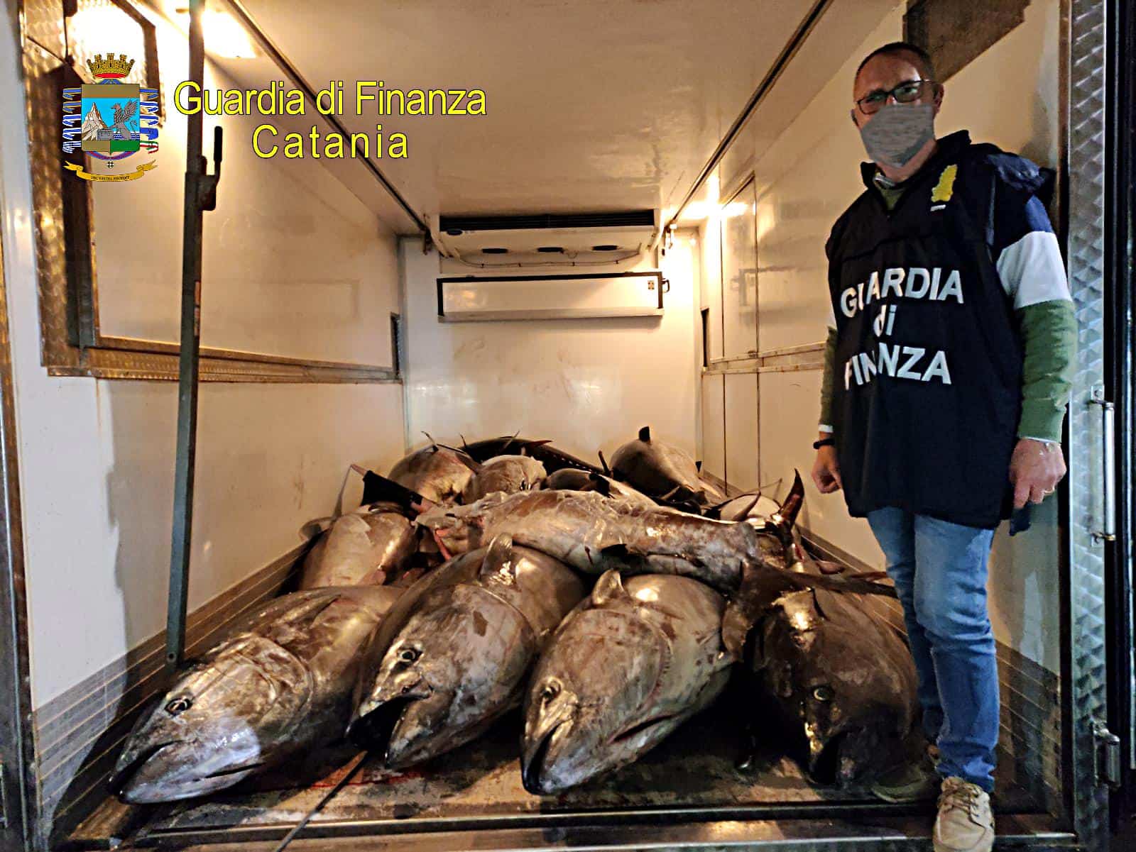 Catania, maxi sequestro di tonno rosso: 3.300 chili di pesce requisiti a Ognina, un sanzionato