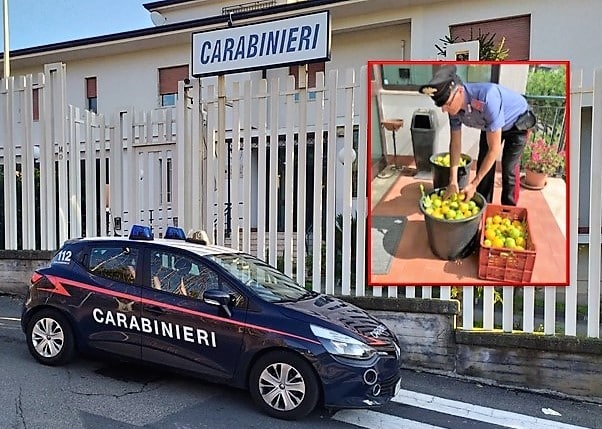 Coppia catanese “complice” nella vita e nel furto di limoni: lui ai domiciliari, lei denunciata