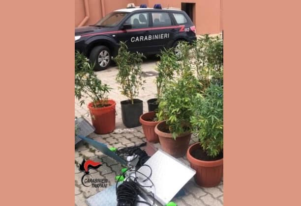Nuova varietà di canapa indiana scoperta a Pantelleria: arrestato 45enne