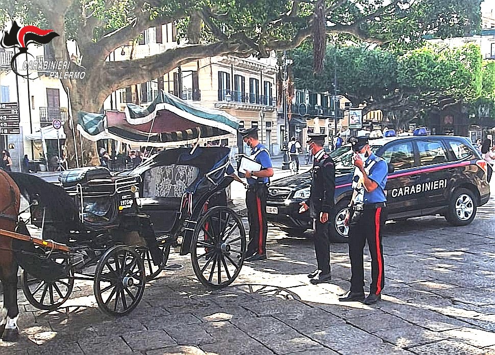 Ancora cavalli “a spasso” in pieno centro senza documentazione: sanzionato vetturino 72enne