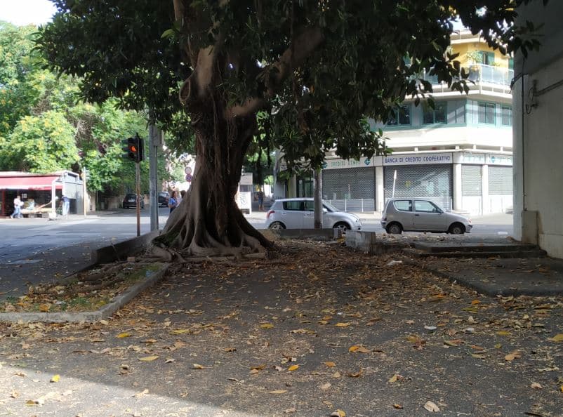 Catania, slargo di via Cifali “sommerso” di rifiuti. Comitato Vulcania: “L’Amministrazione parla ma non fa niente” – FOTO