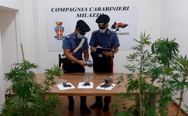 Milazzo, coltivava ed essiccava la droga in casa: scattano gli arresti per 47enne