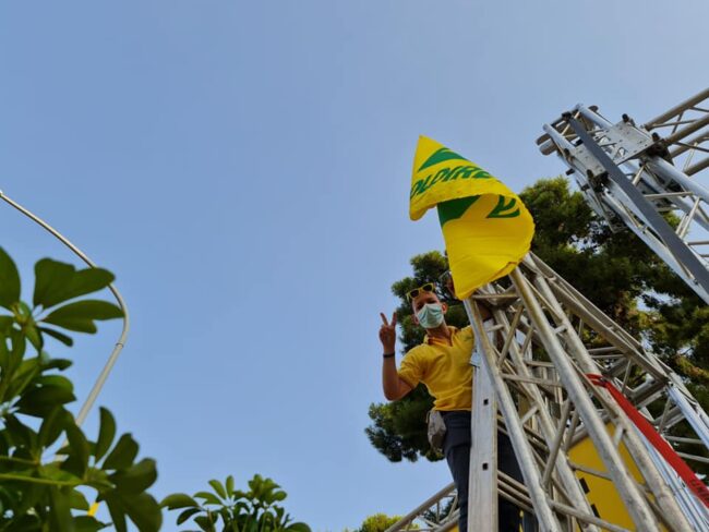 “Invasione” di cinghiali e danni per gli agricoltori, si scende in piazza in Sicilia: “Stanno distruggendo le campagne”