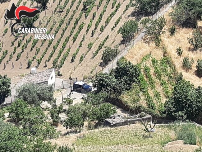 Esce con il gregge e non torna più, pastore disperso per ore: era scivolato in una scarpata
