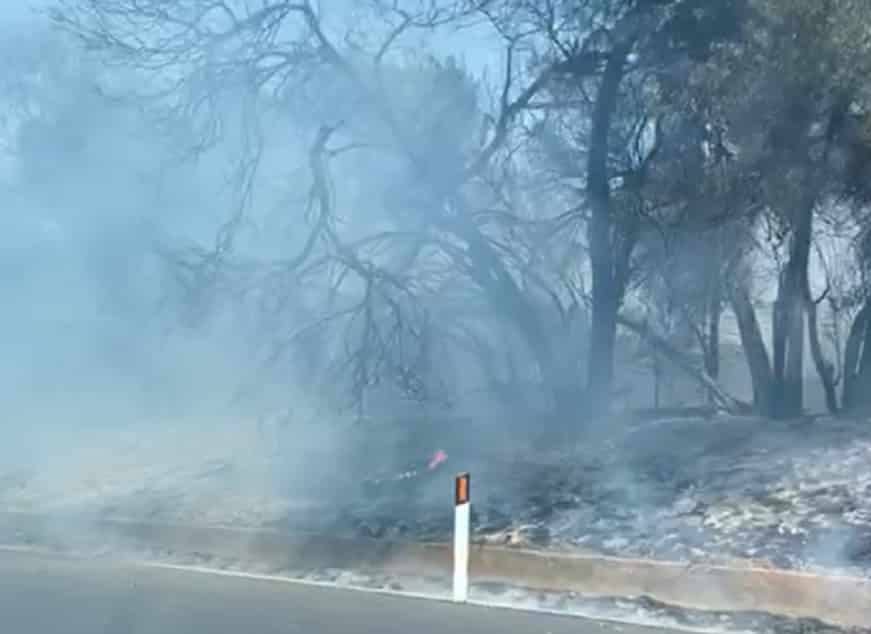 Sicilia nella morsa delle fiamme, incendio minaccia l’autostrada A29: transito interrotto, pericolo anche nell’Ennese e Siracusano