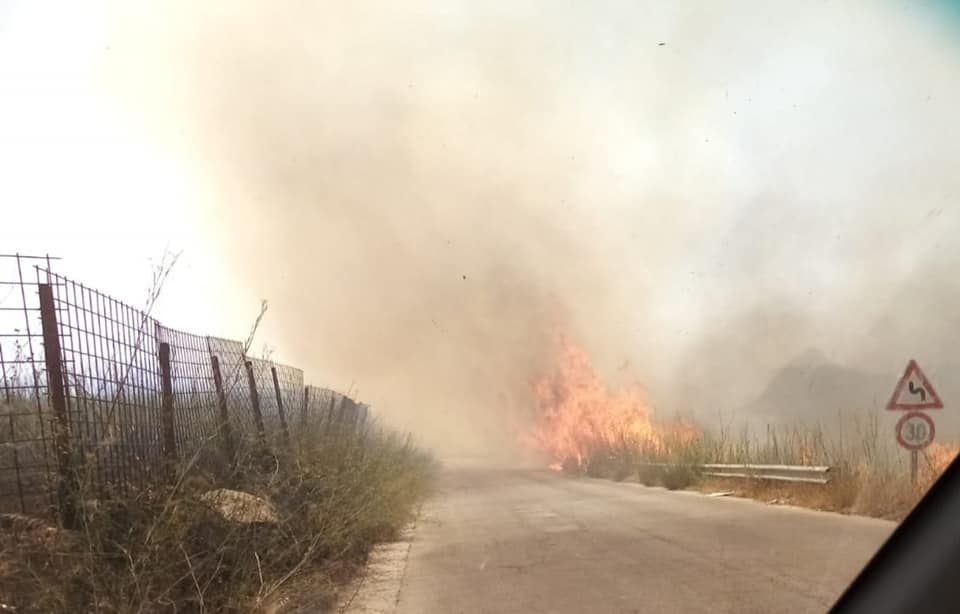 Provinciale 34 in fiamme e incendi pericolosi in città. Allerta a Piana degli Albanesi: “Mantenere chiuse le imposte”