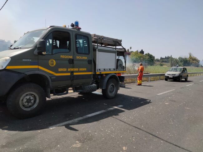 Catania, tra agrumeti abbandonati e villette si scatenano le fiamme: vigili del fuoco, Forestale e Protezione civile in azione
