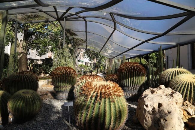 UNICT – L’Orto Botanico di Catania riapre le porte ai visitatori