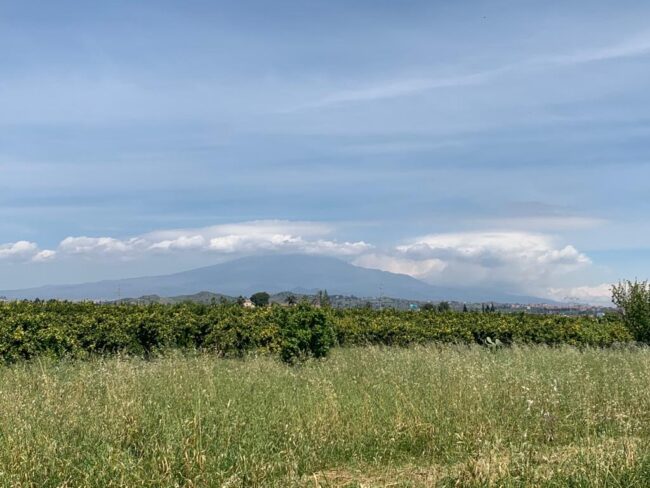 Beni confiscati alla mafia, 4 lotti alla Piana di Catania consegnati ai servizi sociali