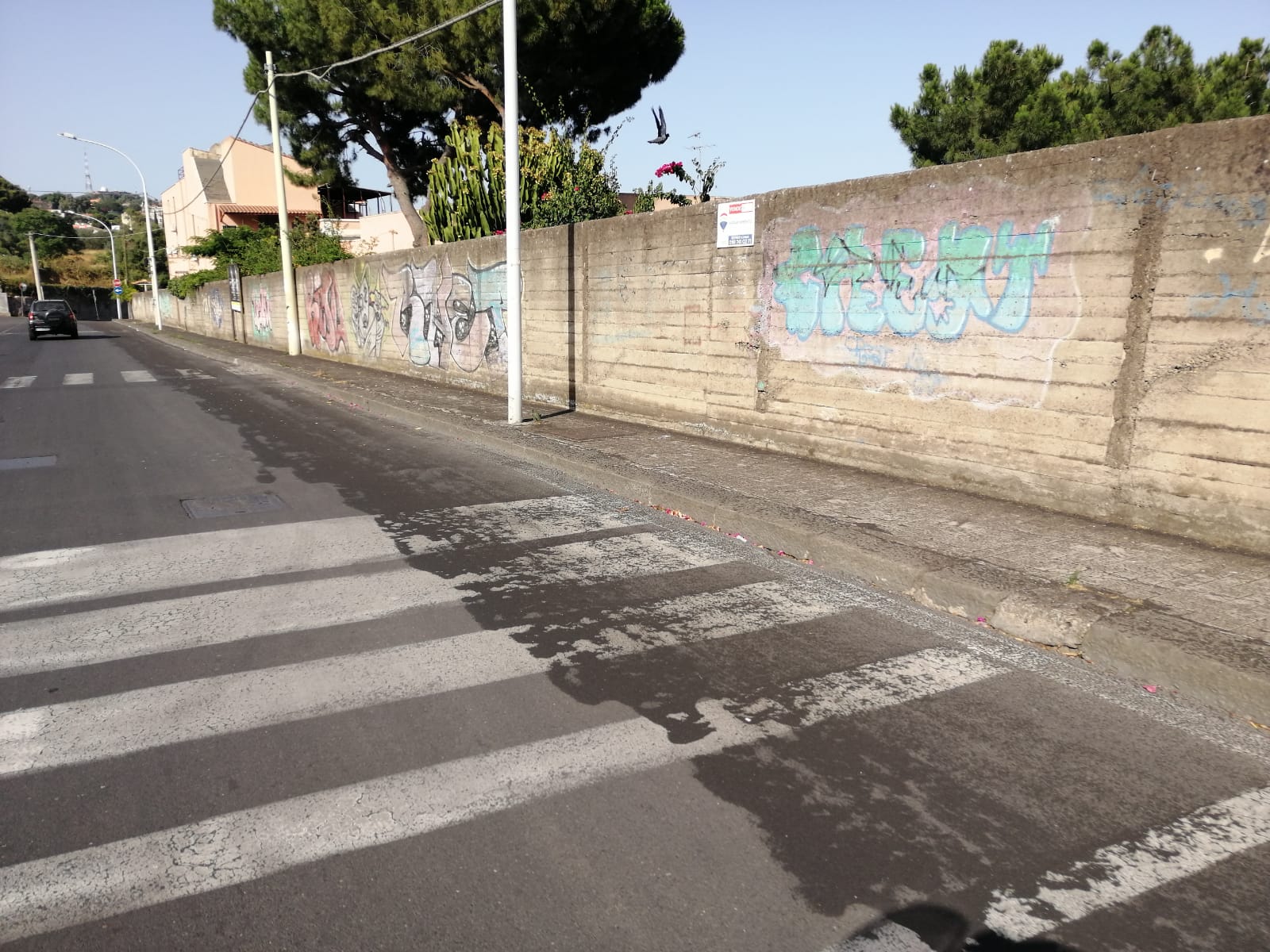 Emergenza cenere dell’Etna a Catania, Buceti: “Serve mappa delle zone a rischio, bisogna dare una mano”