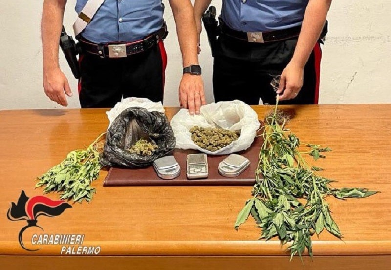 Marijuana in garage, cannabis e furto d’energia elettrica: due arresti