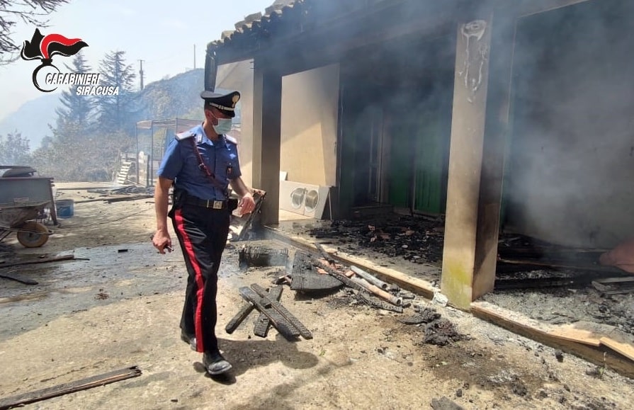 Brucia resti di potatura, pranza e lascia le fiamme libere: denunciato per procurato incendio boschivo