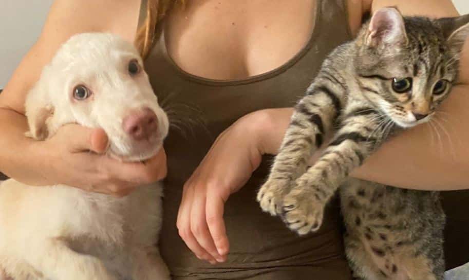 Gettata dall’auto e cieca: la cucciola Hola adottata assieme all’amica Micia